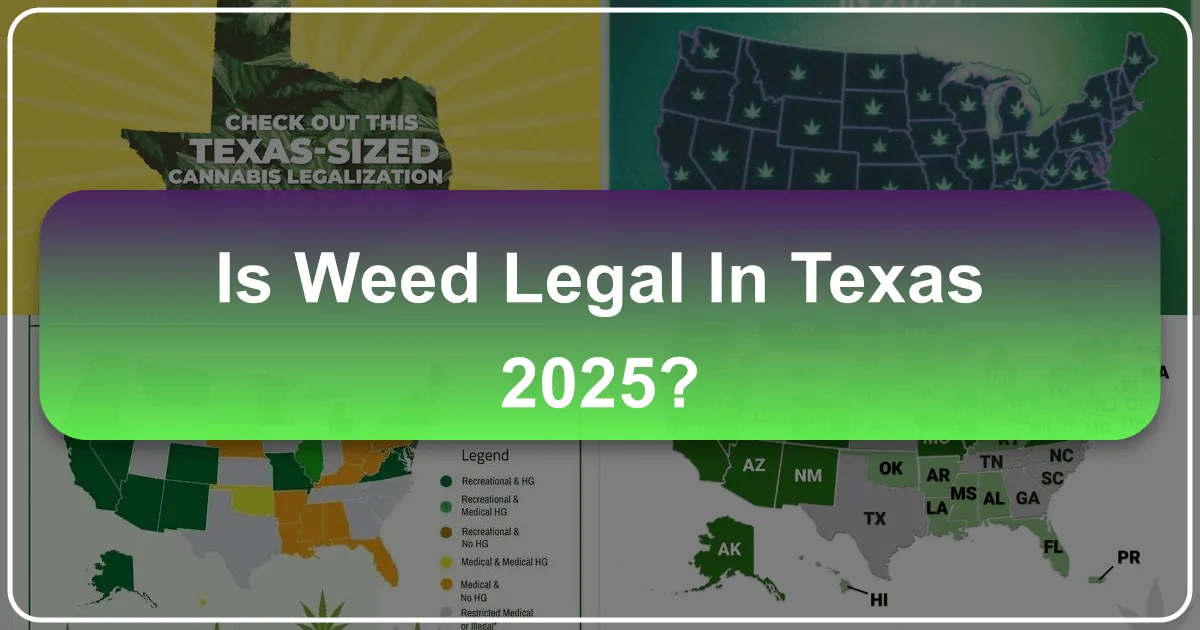 Is Weed Legal in Texas 2025? Navigating Cannabis Laws and Travel in the Lone Star State