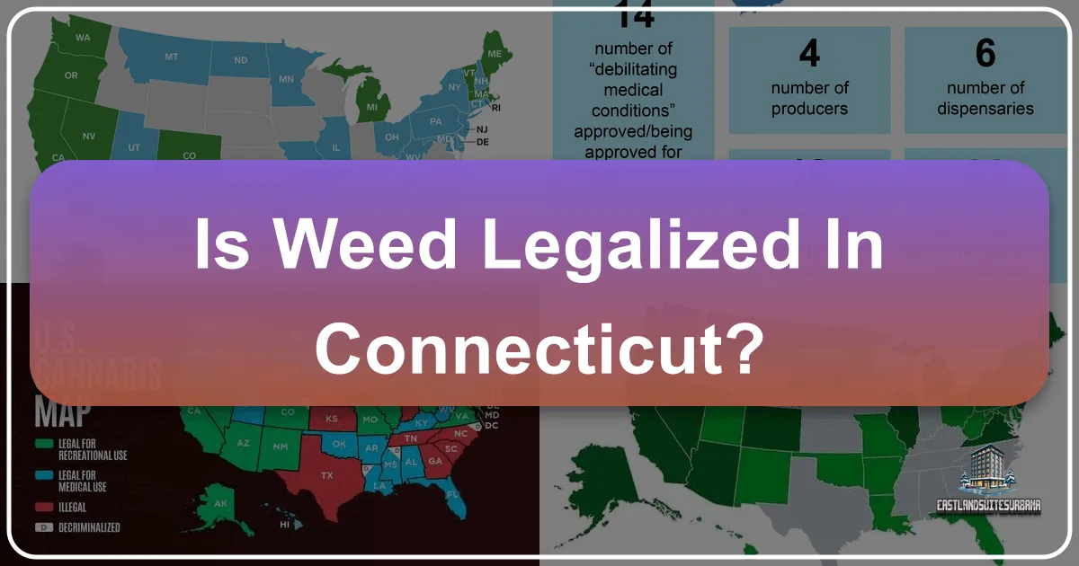 Navigating Cannabis Legality in Connecticut: A Comprehensive Guide for Travelers and Residents