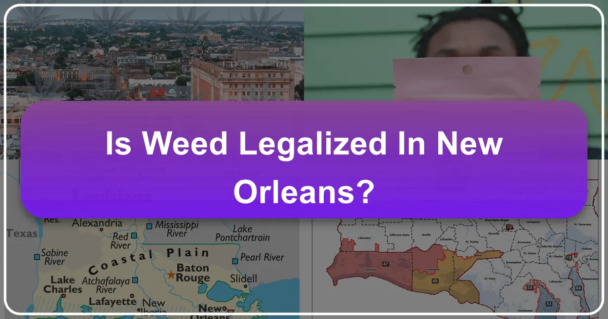 Is Weed Legalized in New Orleans?