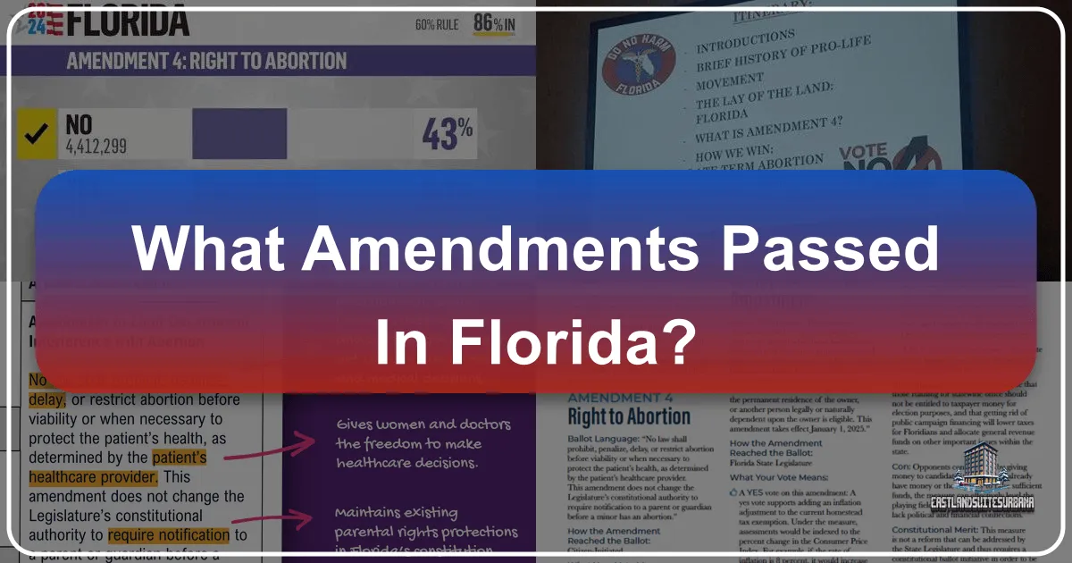 What Amendments Passed In Florida?