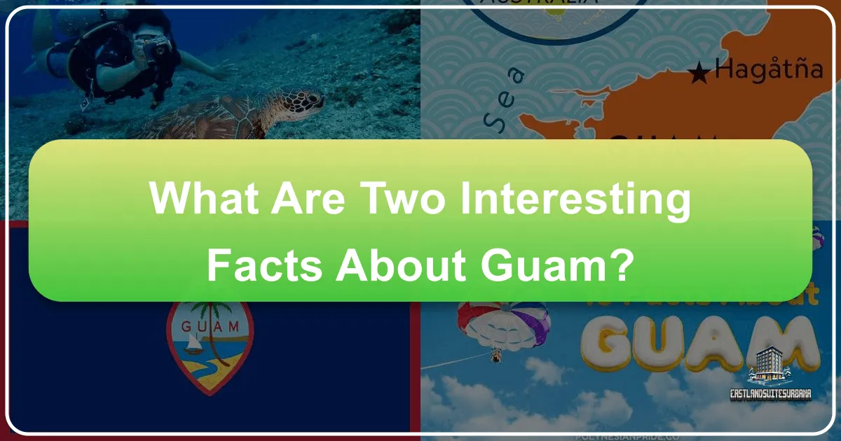 What Are Two Interesting Facts About Guam?