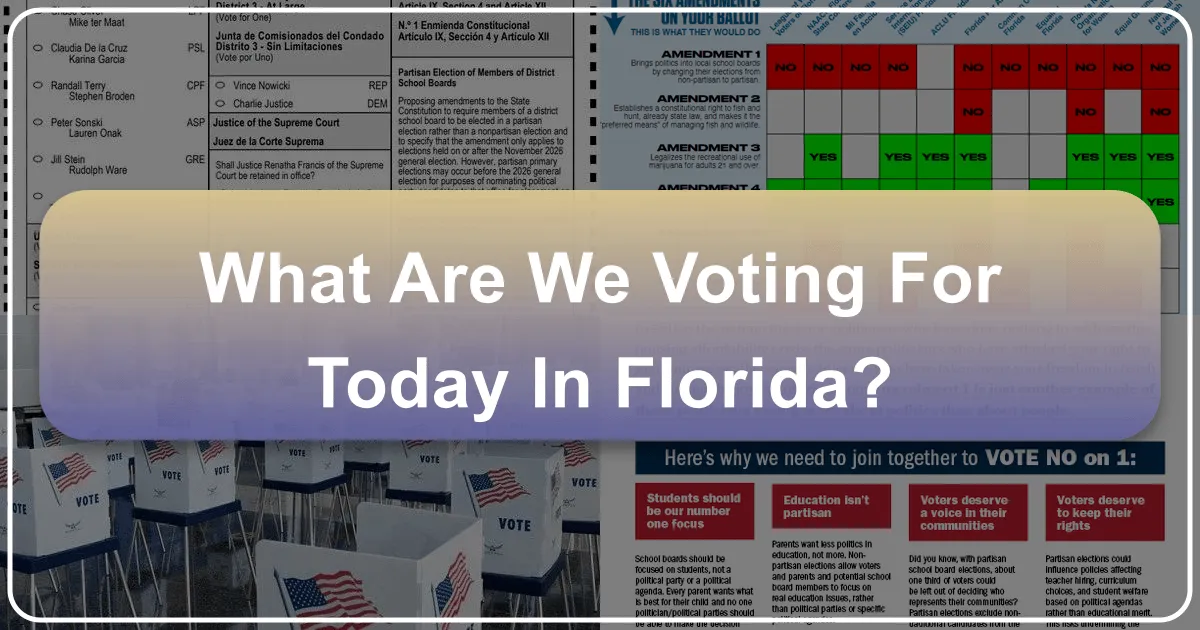 What Are We Voting For Today in Florida: Shaping the Sunshine State's Travel Future