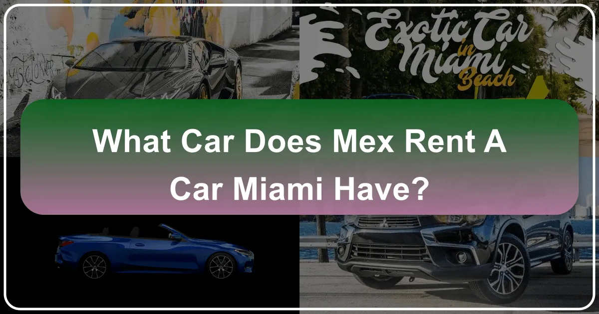What Car Does Mex Rent A Car Miami Have?