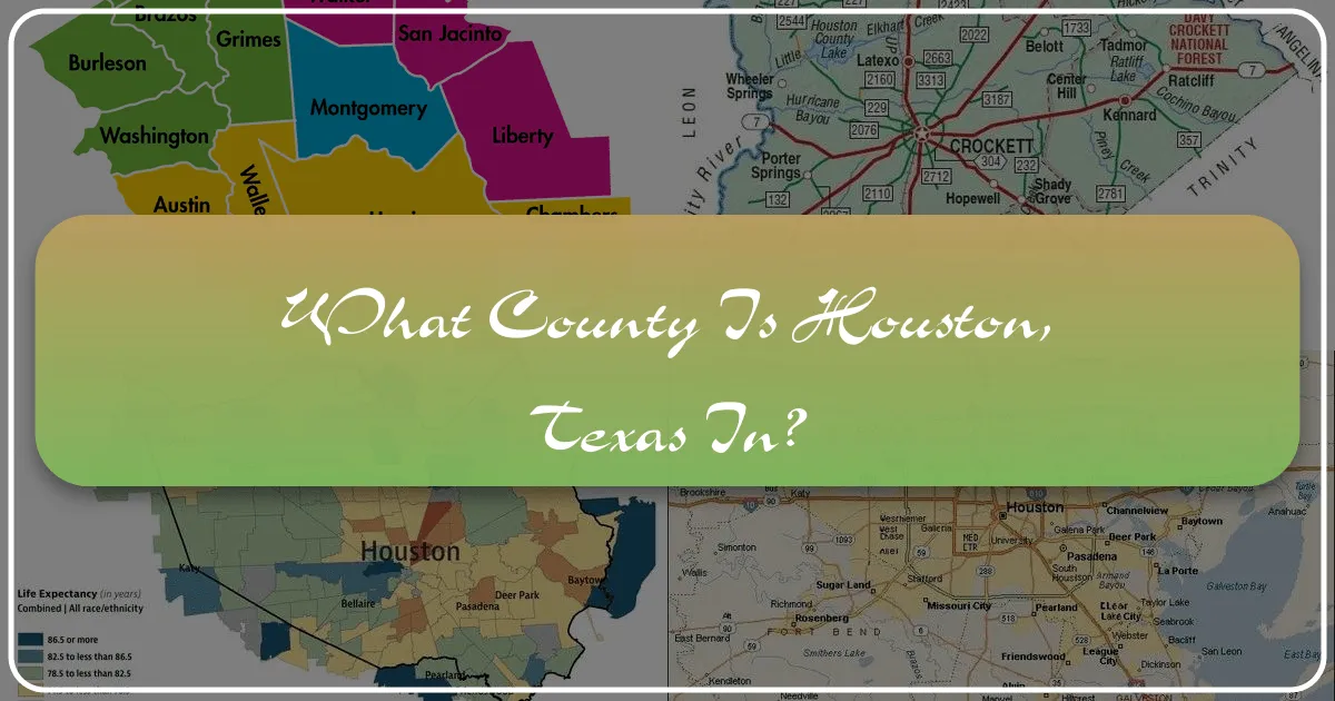 What County Is Houston, Texas In?