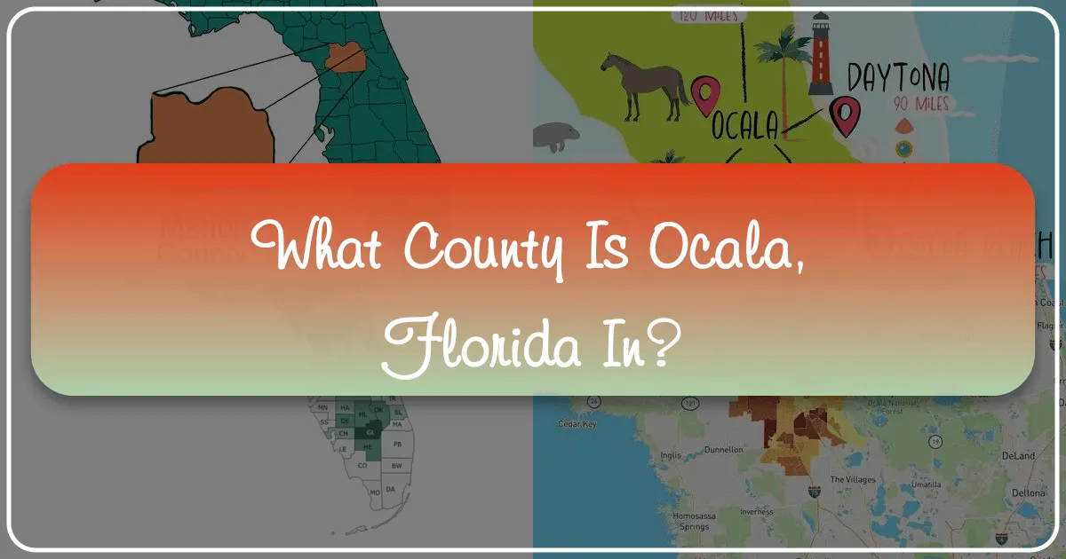 What County Is Ocala, Florida In?