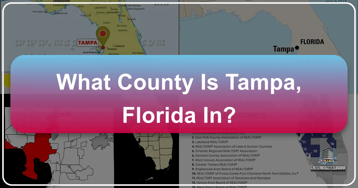 What County Is Tampa, Florida In?
