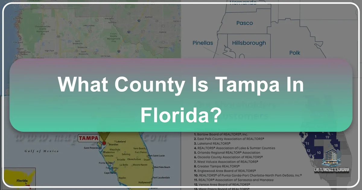 What County Is Tampa In Florida?