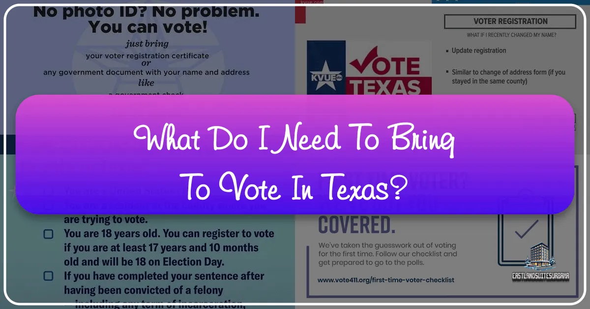 What Do I Need to Bring to Vote in Texas? Navigating Civic Duty While Exploring the Lone Star State