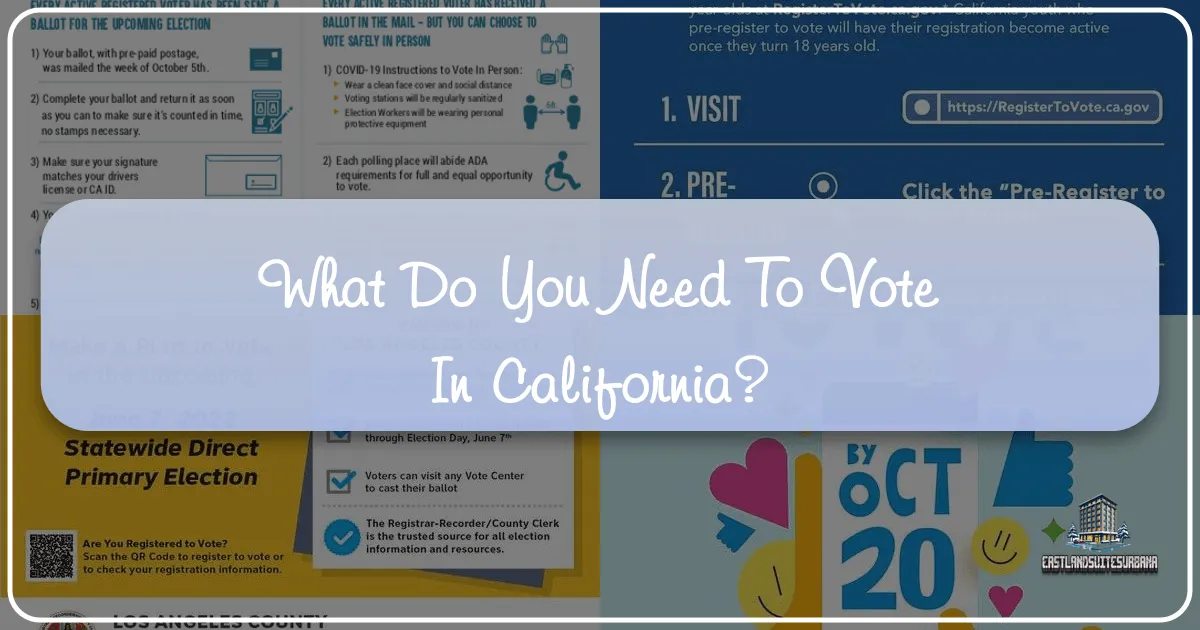 What Do You Need To Vote In California?
