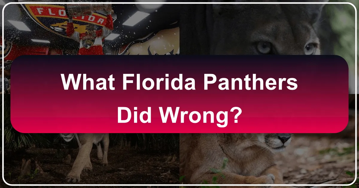 What Florida Panthers Did Wrong