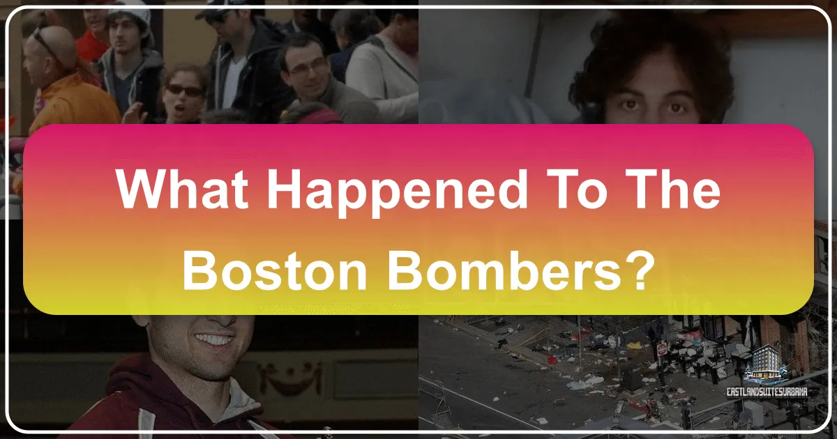What Happened to the Boston Bombers