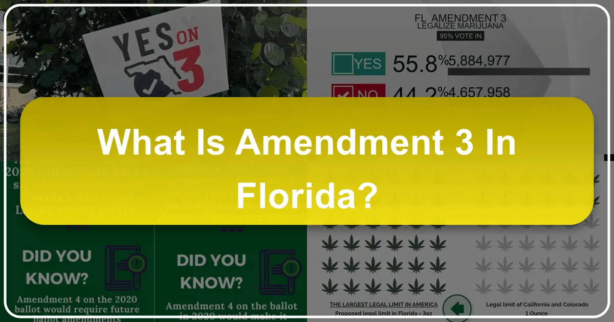 What is Amendment 3 in Florida: Safeguarding the Sunshine State's Tourism Future
