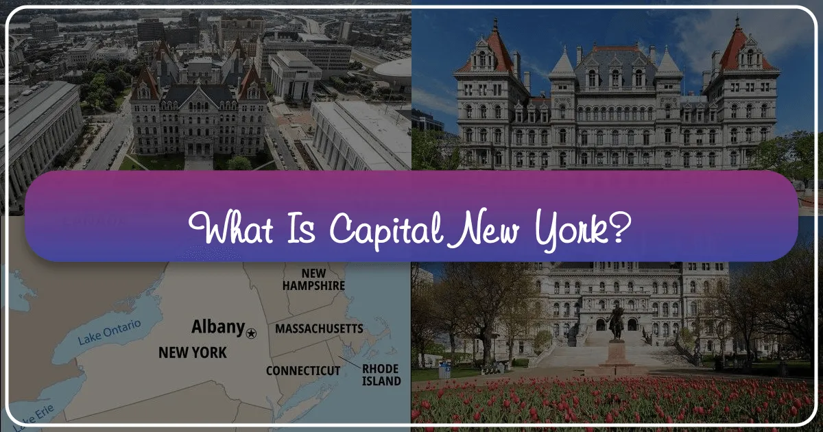 What is Capital New York?