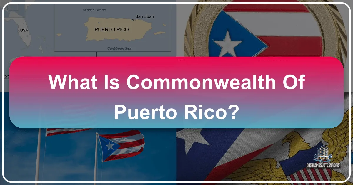 What is Commonwealth of Puerto Rico