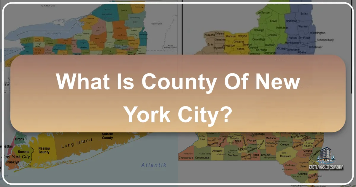 What is County of New York City?