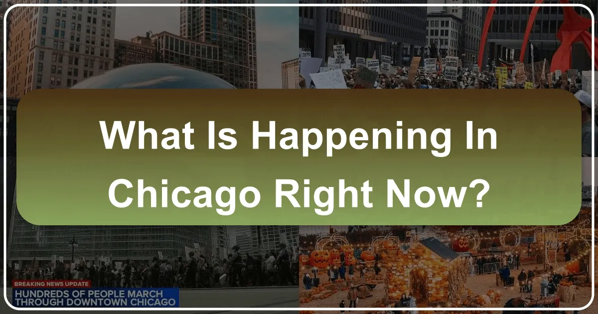 what is happening in chicago right now