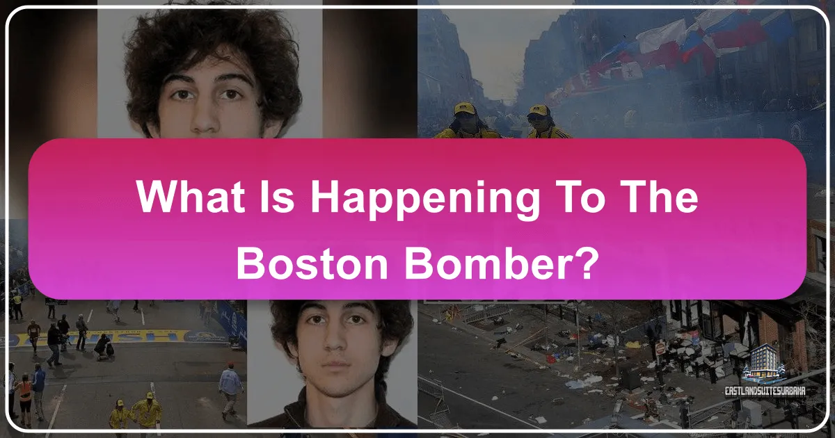 What is Happening to the Boston Bomber