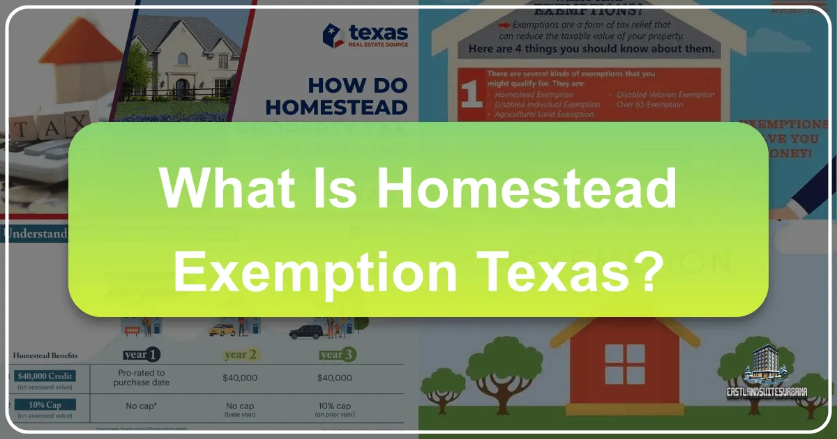 What Is Homestead Exemption Texas?