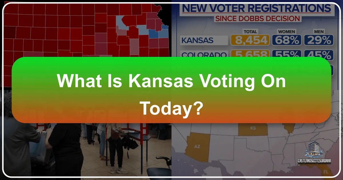 What Is Kansas Voting On Today?