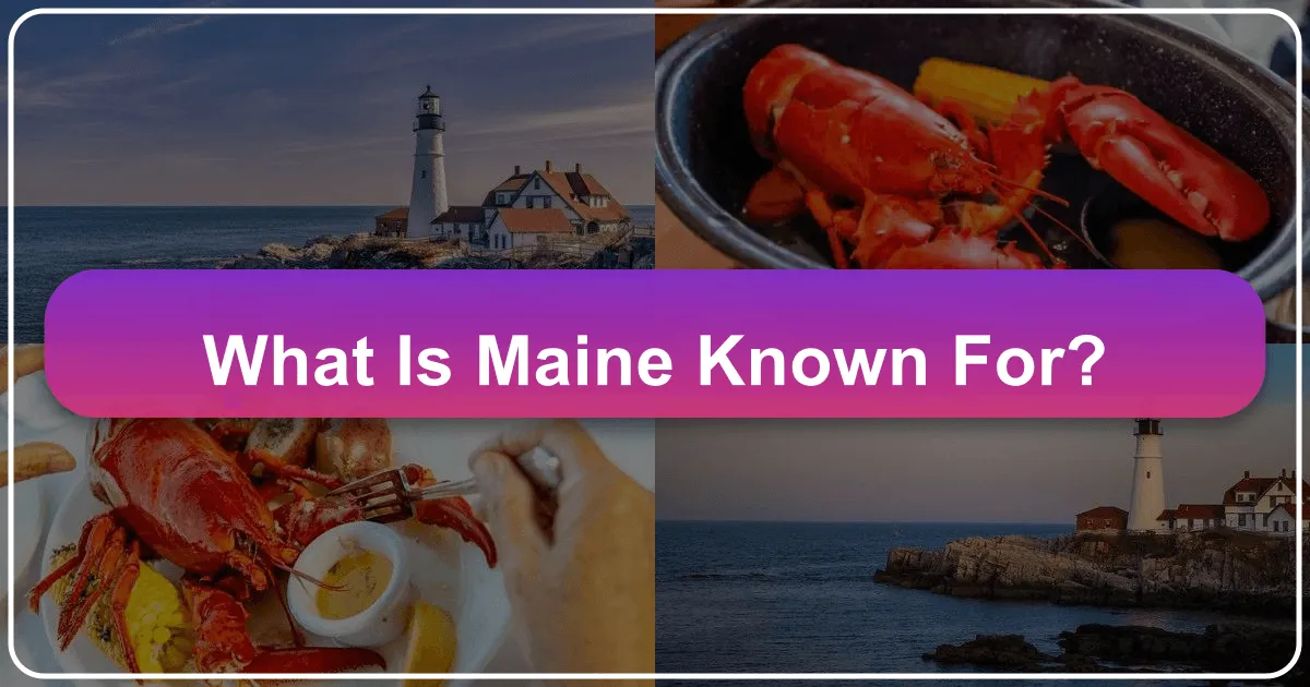 What is Maine Known For?
