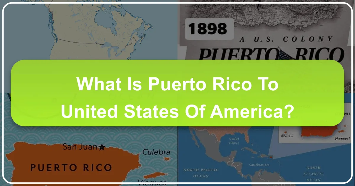 What is Puerto Rico to United States of America