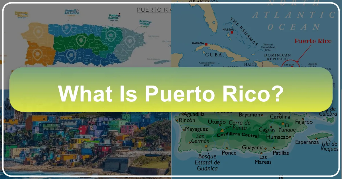 What is Puerto Rico?