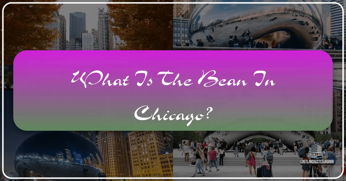 What Is The Bean In Chicago?