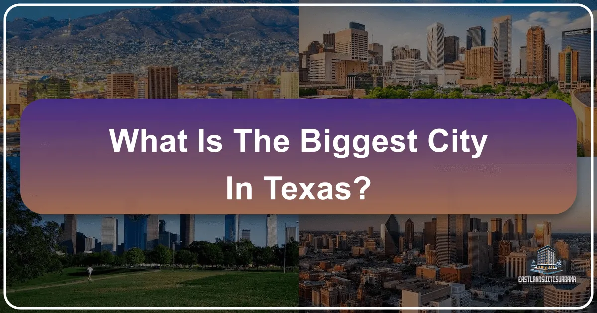 What is the Biggest City in Texas?