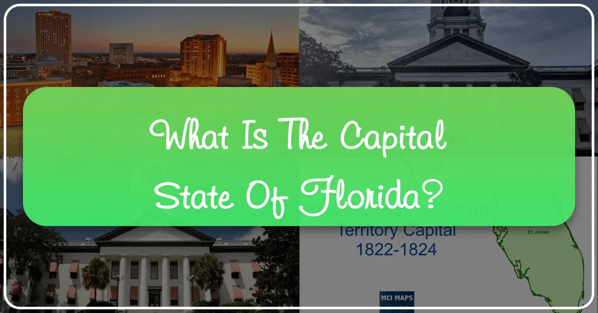 Tallahassee: Florida's Enduring Capital City