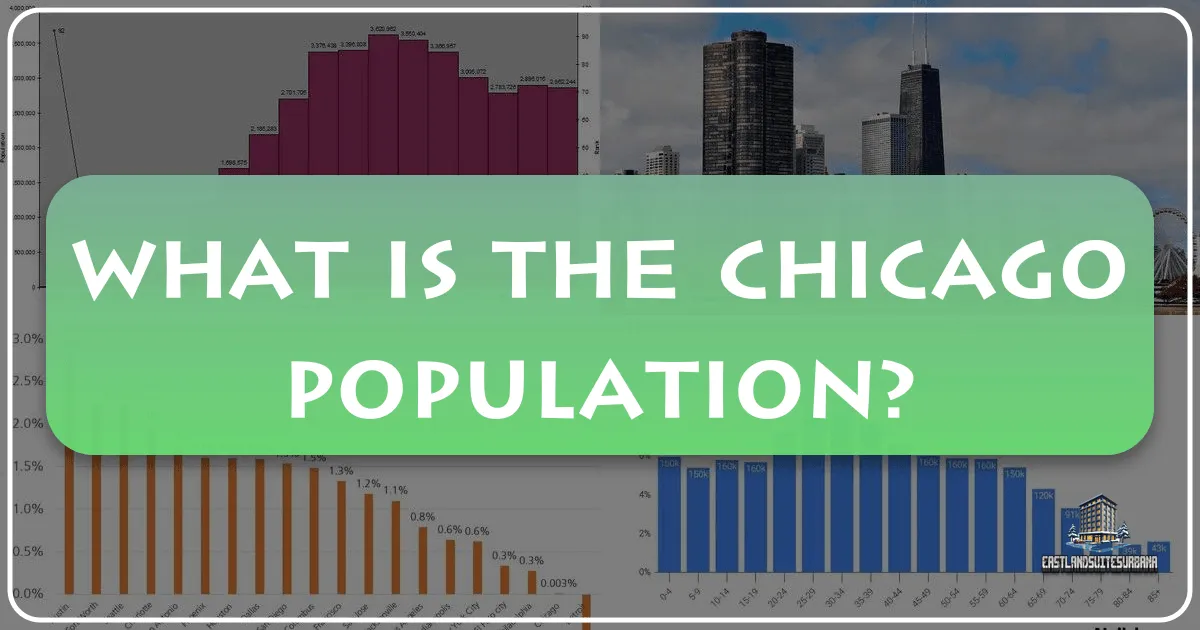 What Is The Chicago Population?