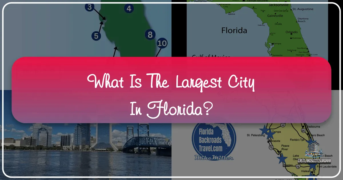 What Is The Largest City In Florida?