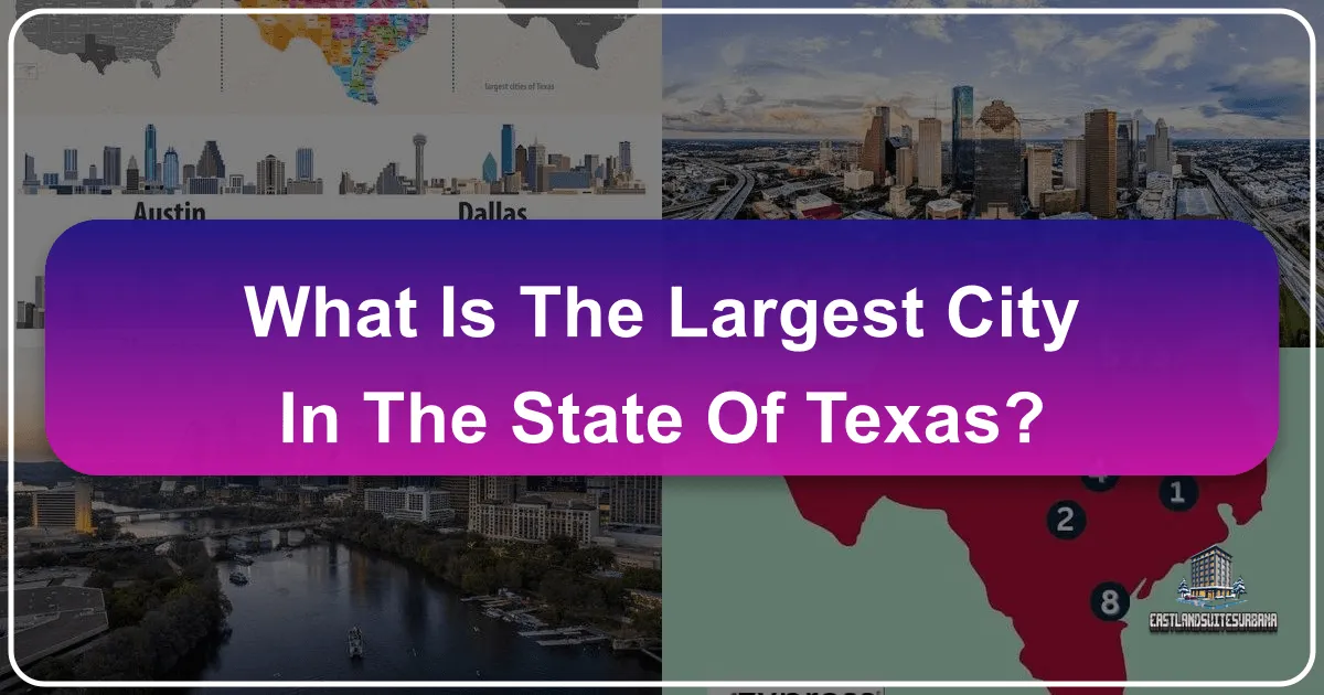 What is the Largest City in the State of Texas?
