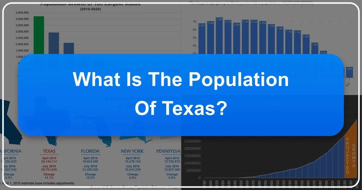 What is the Population of Texas?