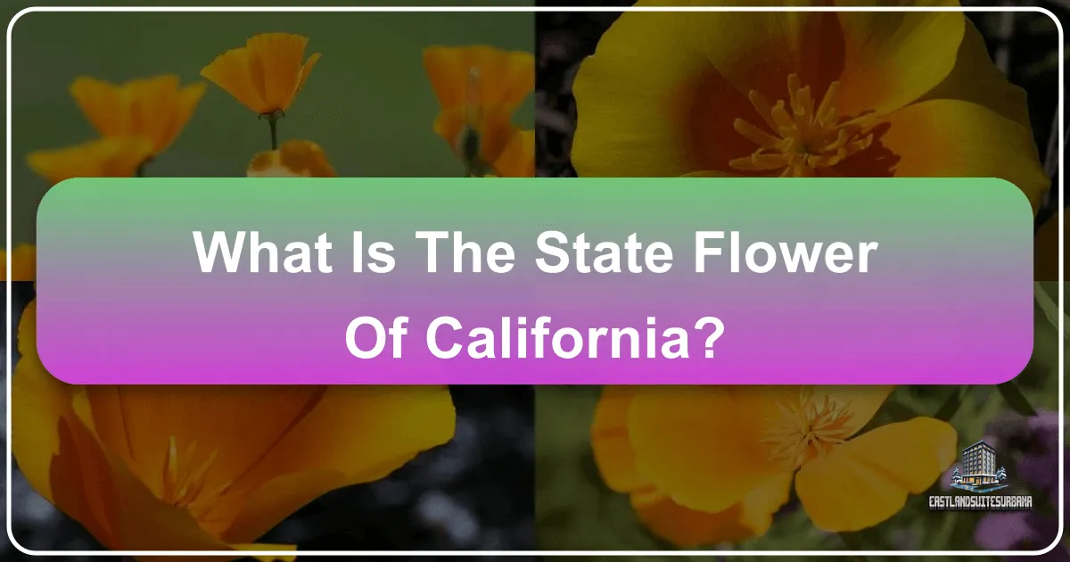 What Is The State Flower Of California?