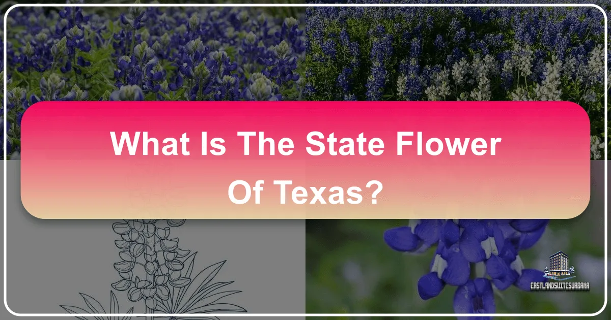What Is The State Flower Of Texas?