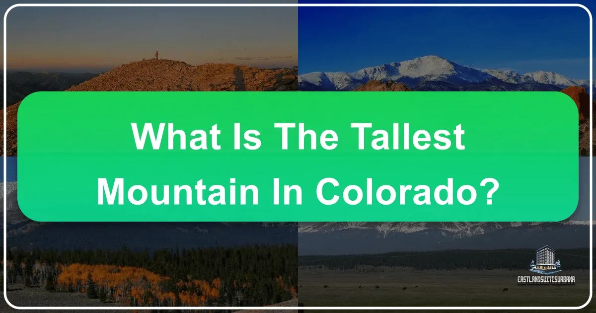 What Is The Tallest Mountain In Colorado?