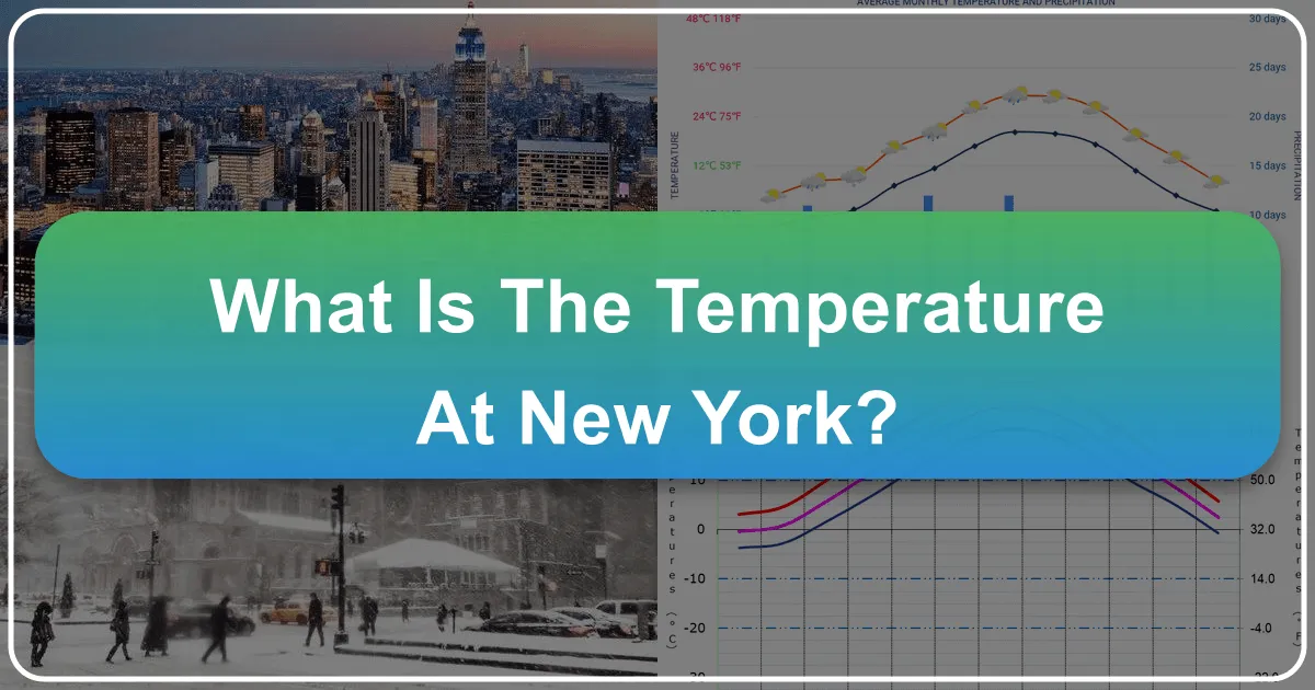 What is the Temperature in New York and How Does it Influence Your Ultimate Travel Experience?