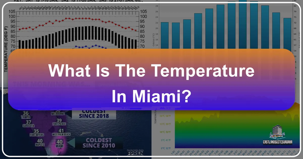 What Is The Temperature In Miami?