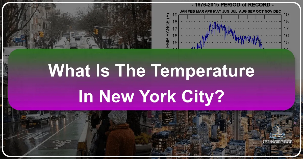 What is the Temperature in New York City?