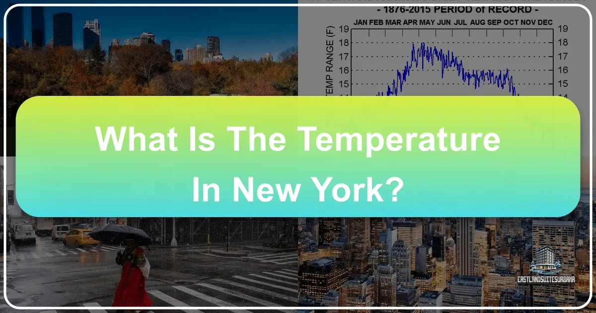 What is the Temperature in New York? A Seasonal Guide to Planning Your Perfect Trip