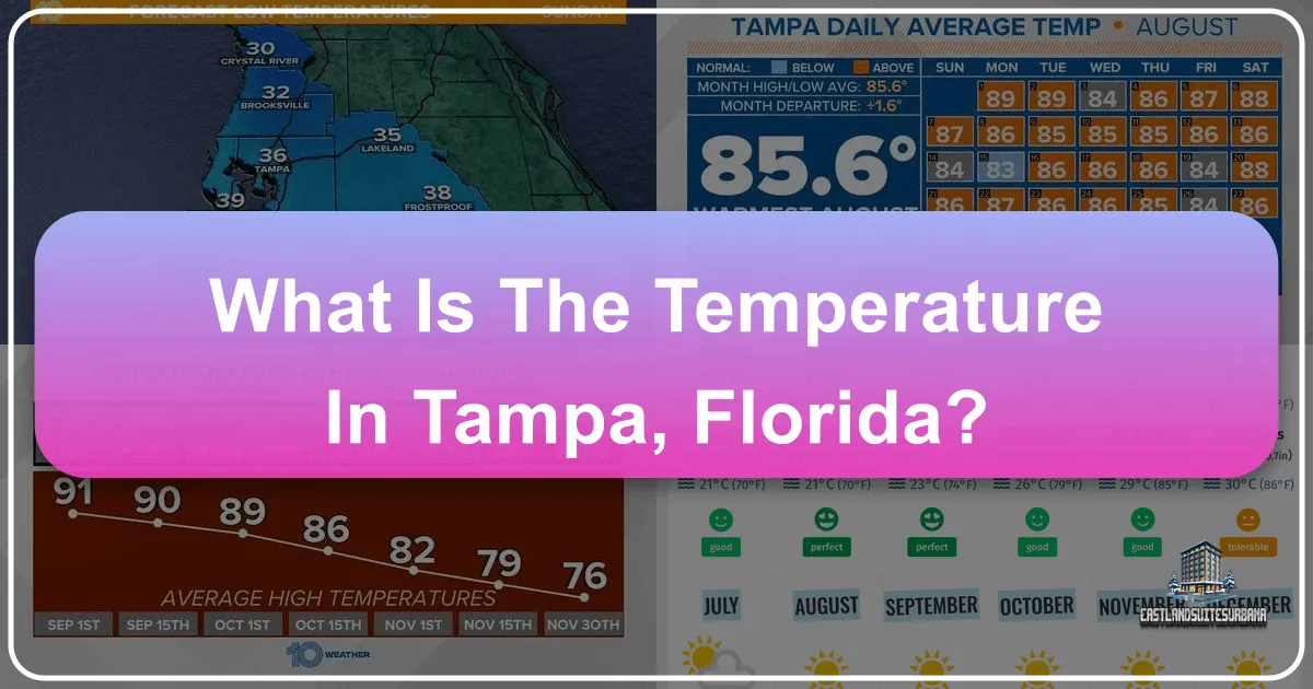 What is the Temperature in Tampa, Florida?