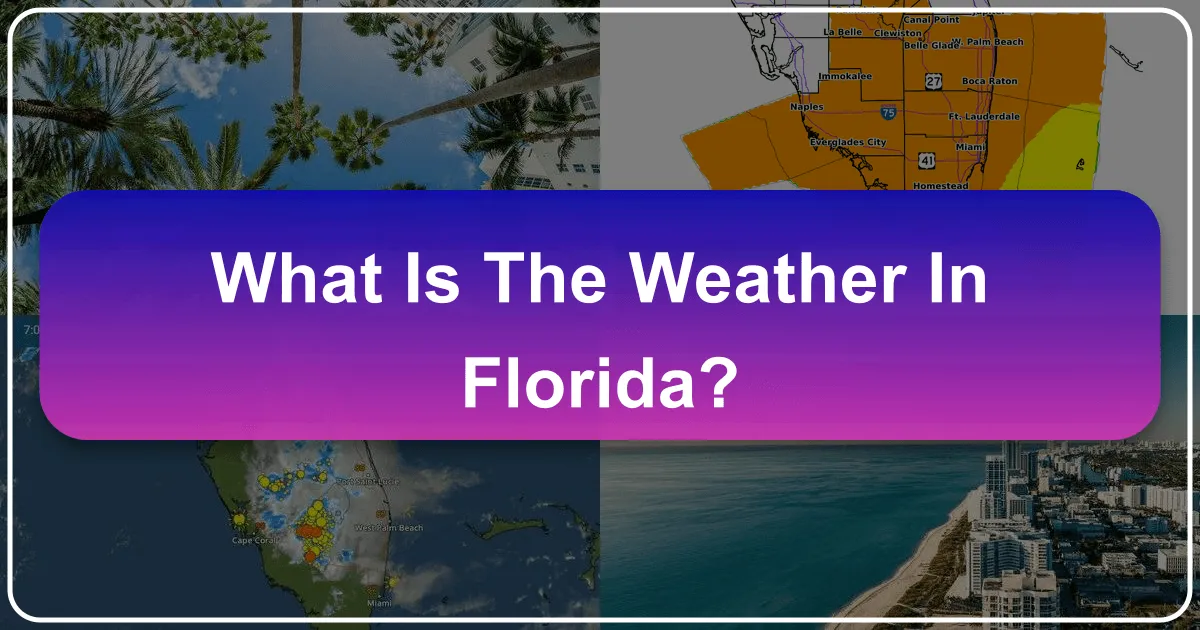What is the Weather in Florida?
