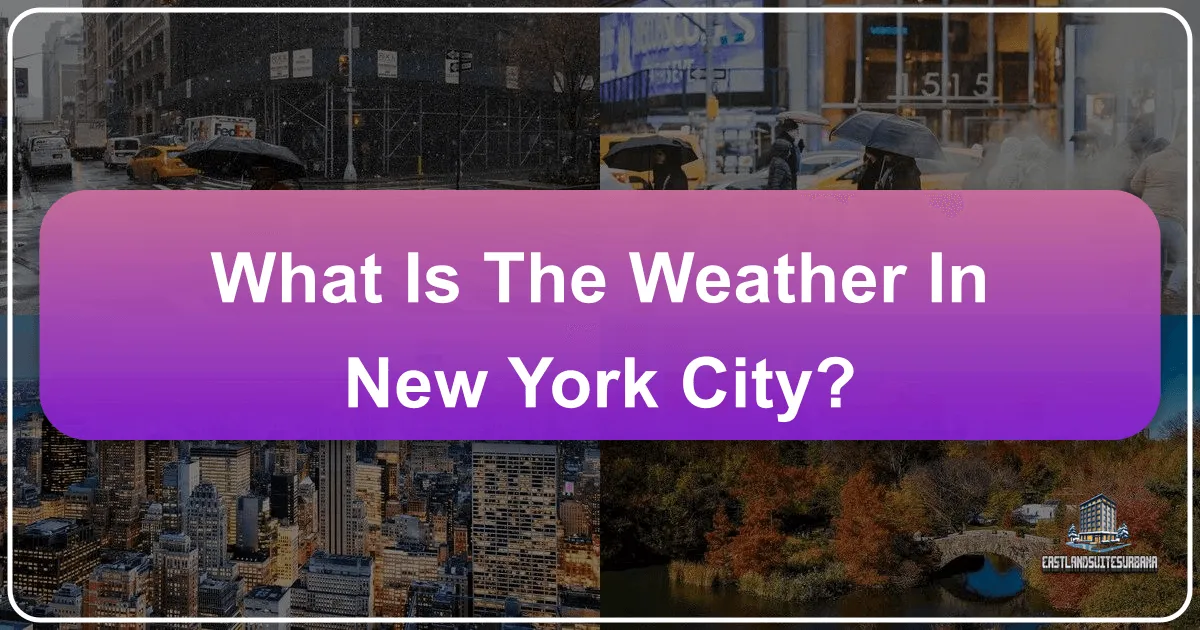 What is the Weather in New York City?