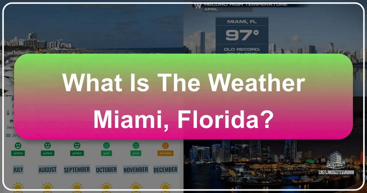 What Is The Weather Miami, Florida?