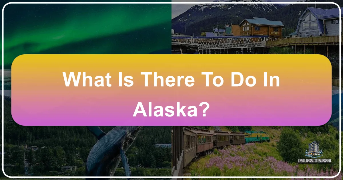 What is There to Do in Alaska