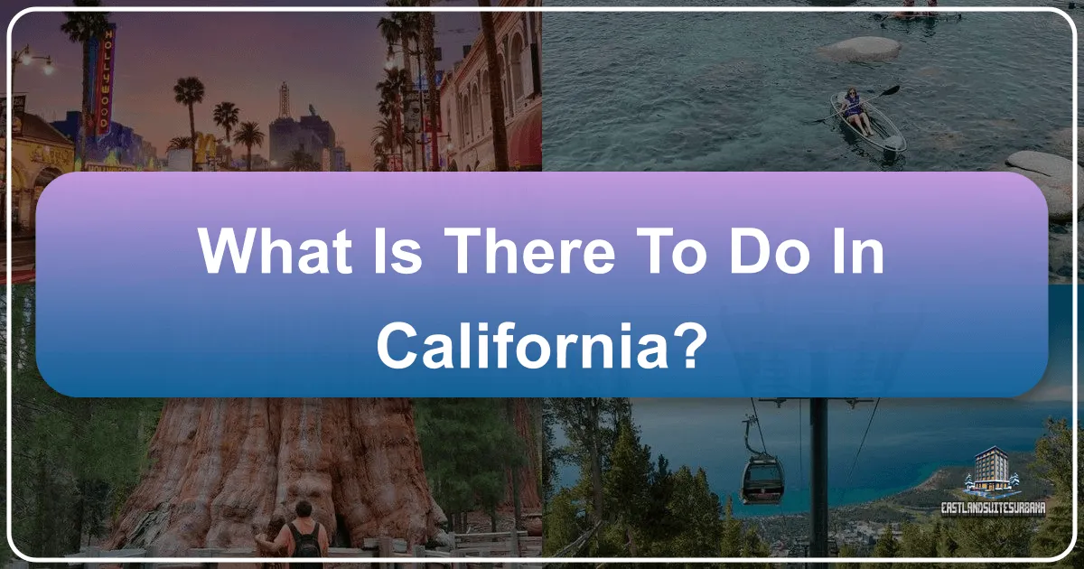 What is There to Do in California?
