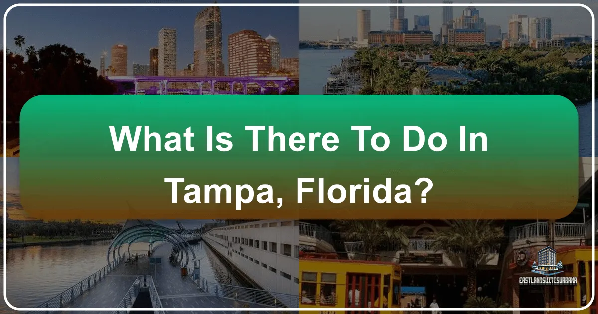 Unveiling the Best of Tampa, Florida: Your Ultimate Travel Guide