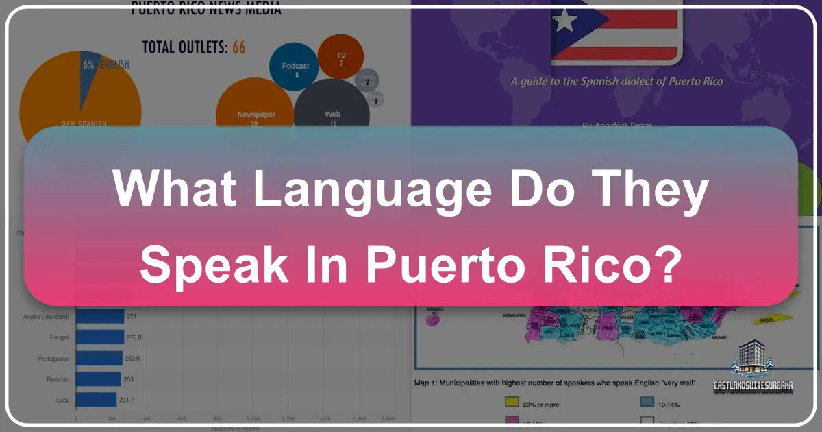 What Language Do They Speak in Puerto Rico