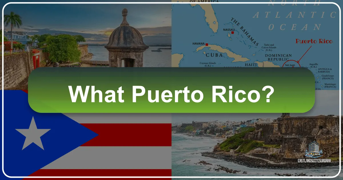 What Puerto Rico