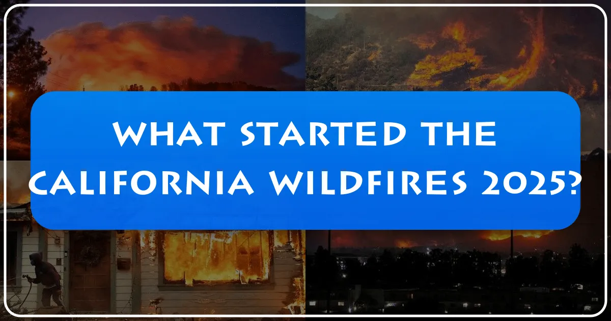 What Started the California Wildfires 2025